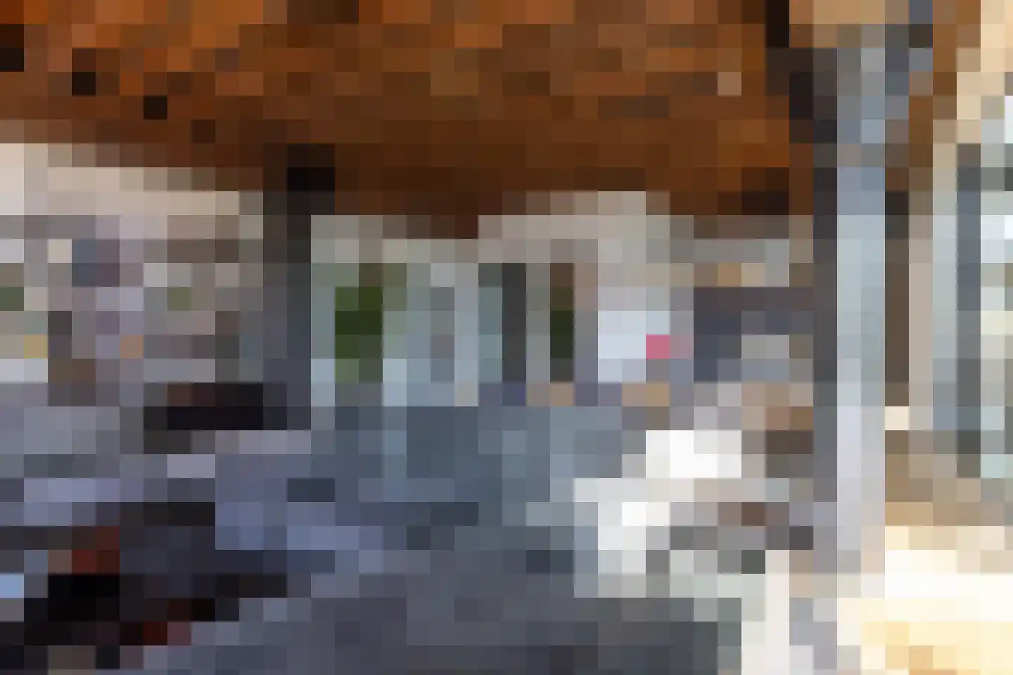 Dolomiet 27 Zoetermeer thumbnail 15