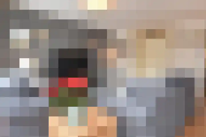 Dolomiet 27 Zoetermeer thumbnail 15