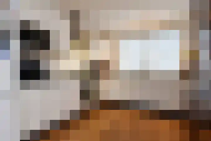 Dolomiet 27 Zoetermeer thumbnail 18