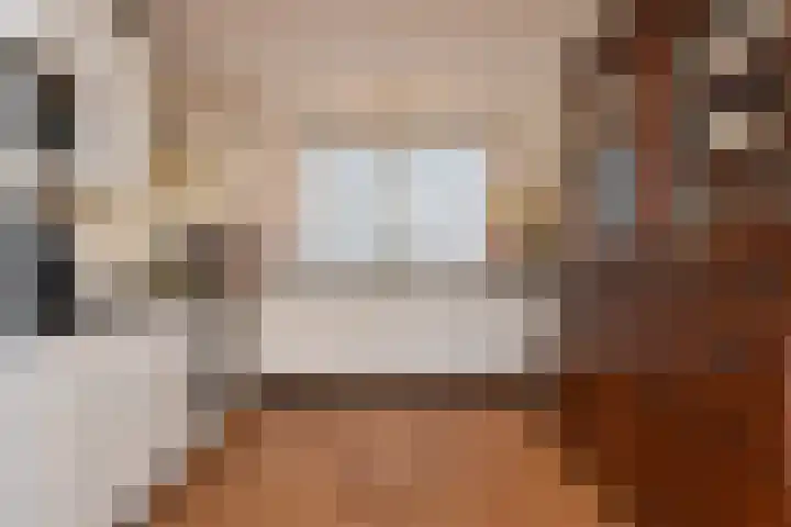 Dolomiet 27 Zoetermeer thumbnail 20