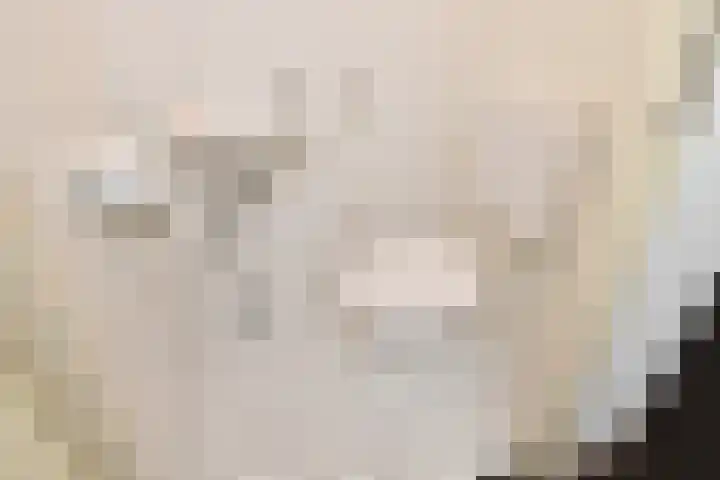Dolomiet 27 Zoetermeer thumbnail 8