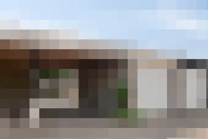 Dolte 3 Zwolle foto 2