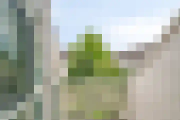 Dolte 3 Zwolle thumbnail 22