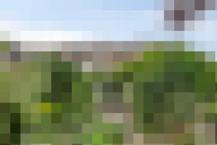 Dolte 3 Zwolle thumbnail 28