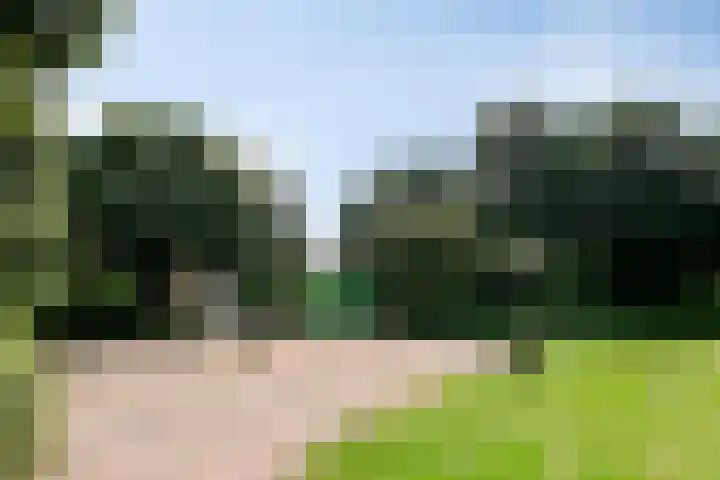 Dolte 3 Zwolle thumbnail 30