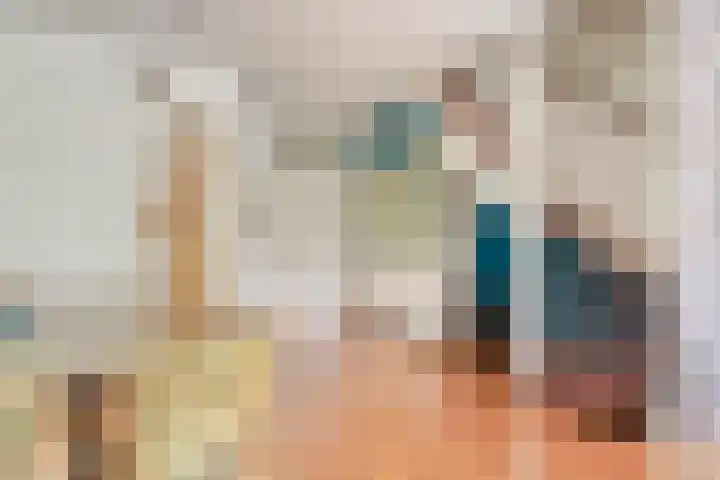 Dolte 3 Zwolle thumbnail 7