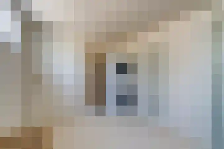 Doltewâl 4 Workum thumbnail 20