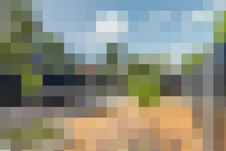 Doltewâl 4 Workum thumbnail 24