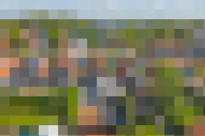 Doltewâl 4 Workum thumbnail 25