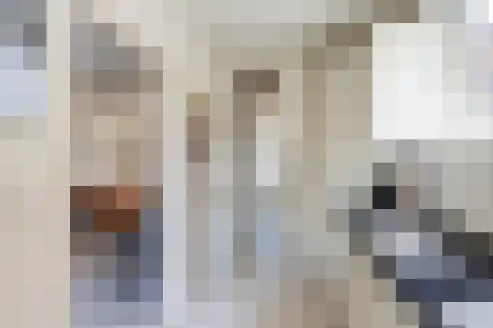Doltewâl 4 Workum thumbnail 9