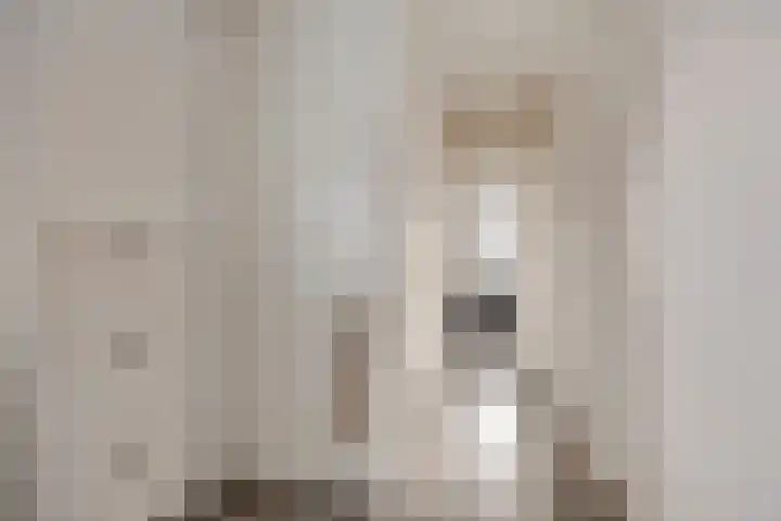 Domburgpad 19 Arnhem thumbnail 11