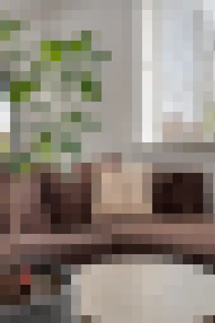 Domburgpad 19 Arnhem thumbnail 14
