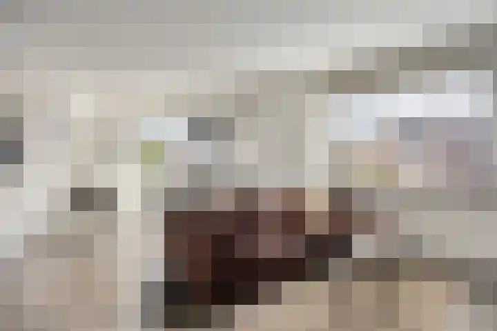 Domburgpad 19 Arnhem thumbnail 15