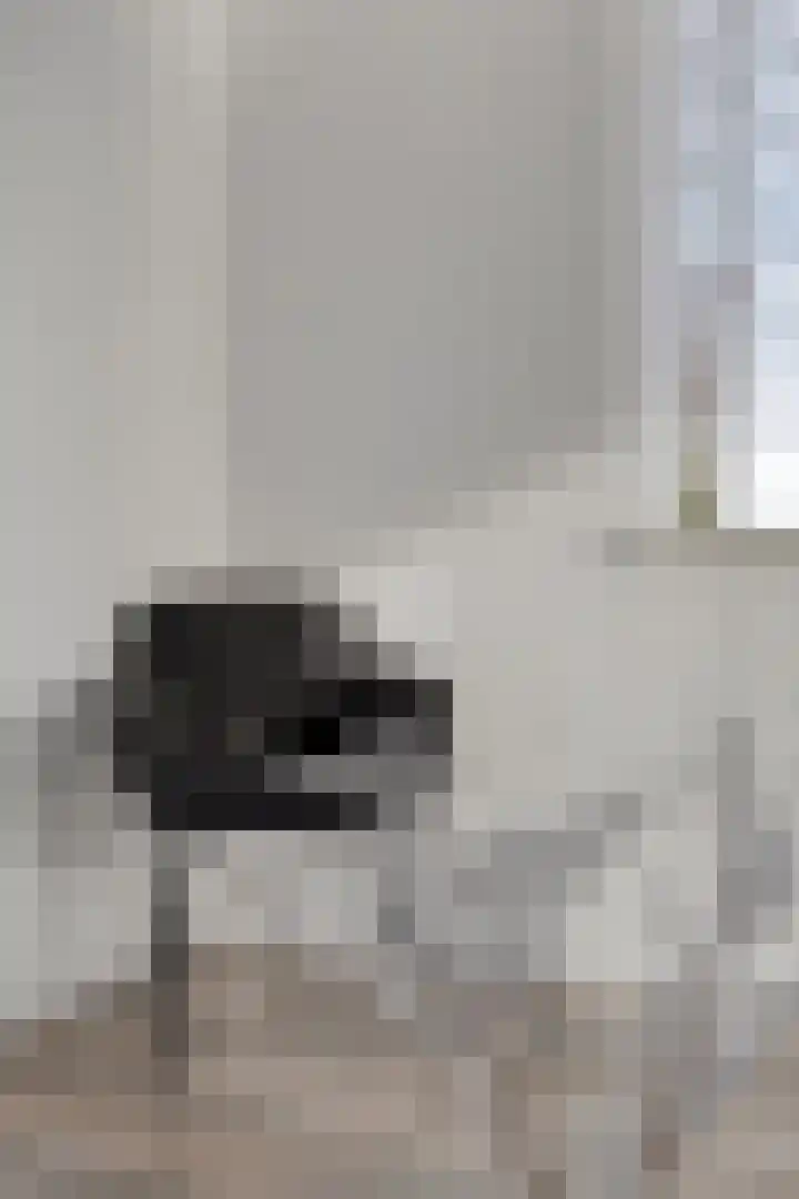 Domburgpad 19 Arnhem thumbnail 16