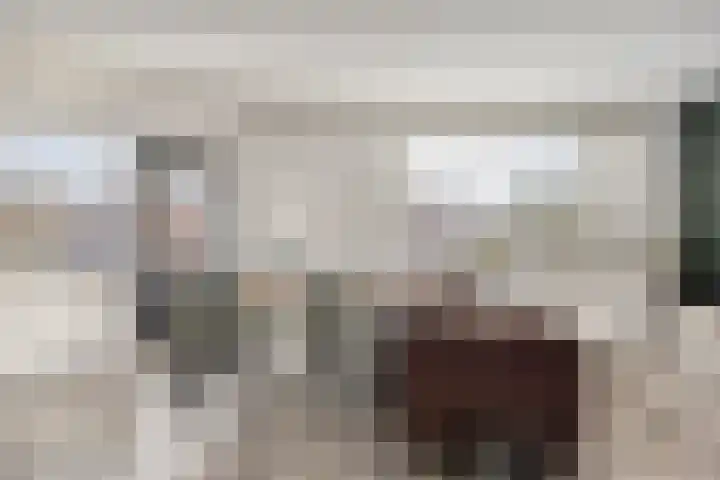 Domburgpad 19 Arnhem thumbnail 17