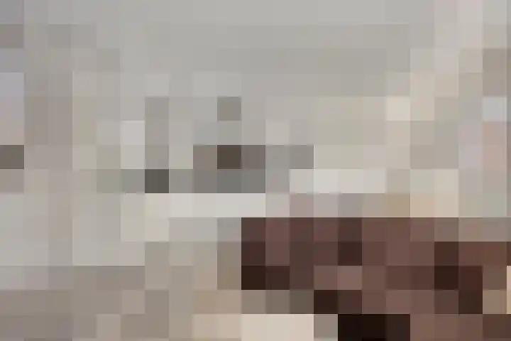 Domburgpad 19 Arnhem thumbnail 21