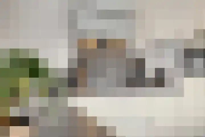 Domburgpad 19 Arnhem thumbnail 24