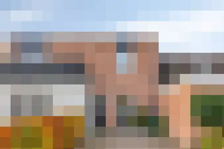 Domburgpad 19 Arnhem thumbnail 33