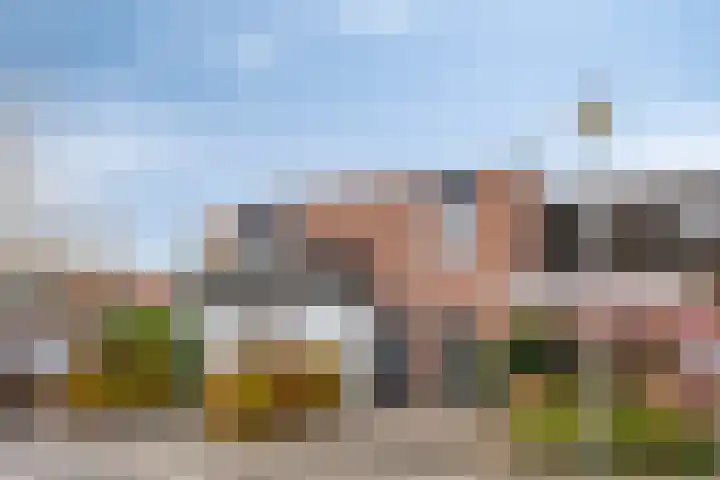 Domburgpad 19 Arnhem thumbnail 34