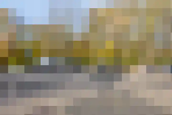 Domburgpad 19 Arnhem thumbnail 36