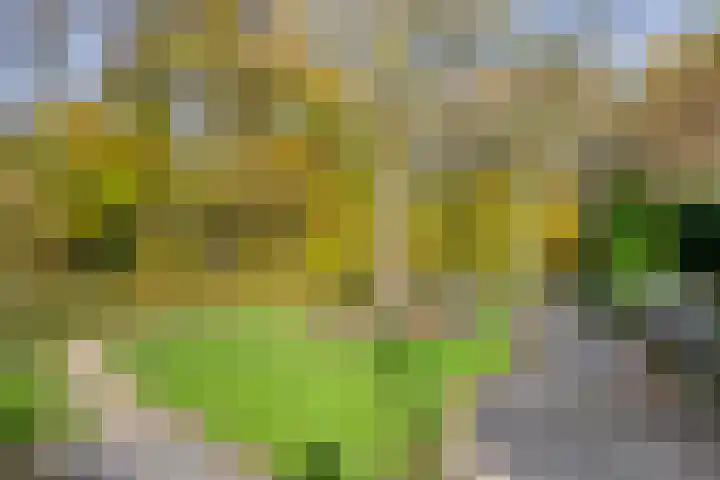 Domburgpad 19 Arnhem thumbnail 37