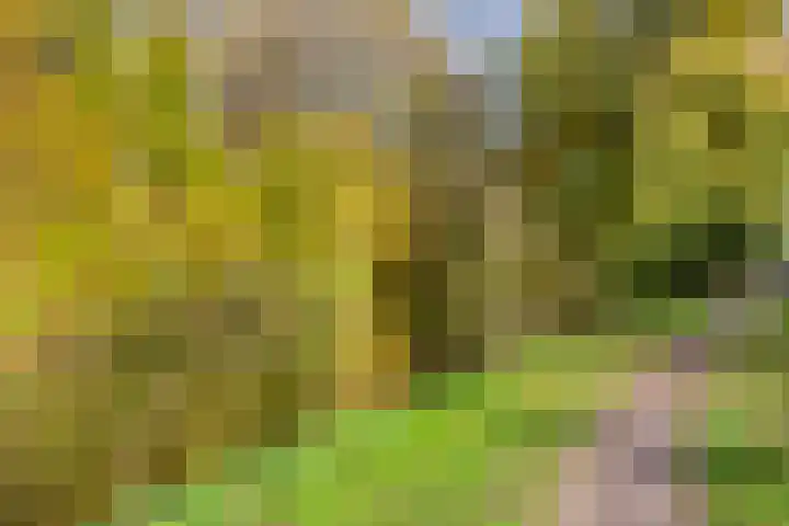 Domburgpad 19 Arnhem thumbnail 38