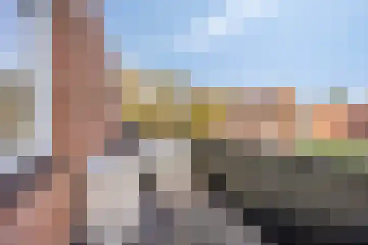 Domburgpad 19 Arnhem thumbnail 4