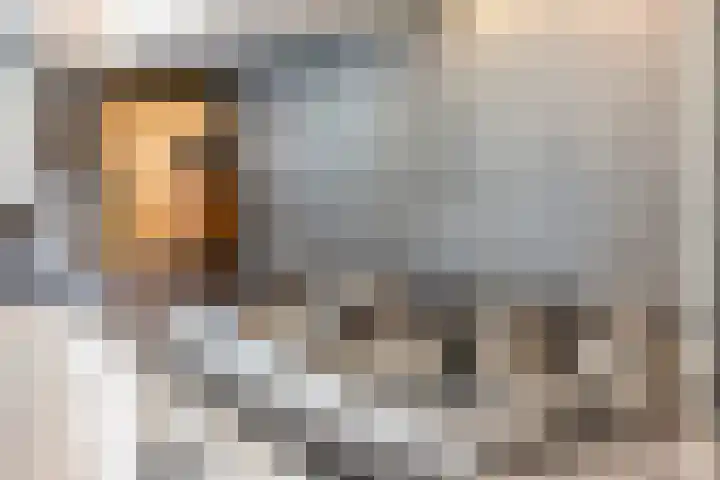 Domburgpad 46 Arnhem thumbnail 13