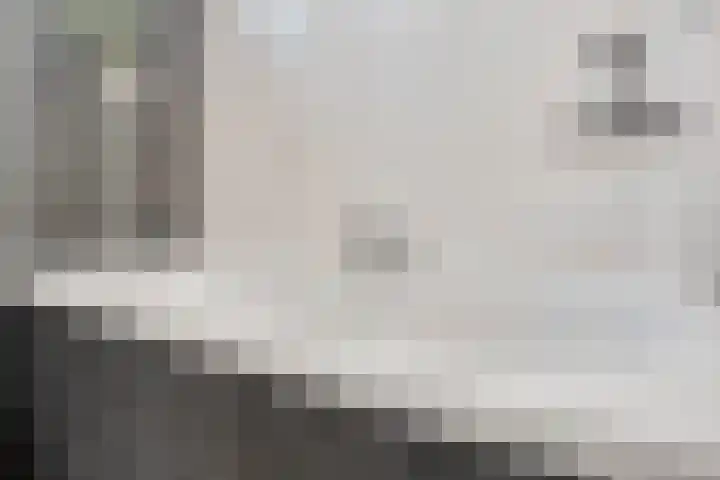 Domburgpad 46 Arnhem thumbnail 19