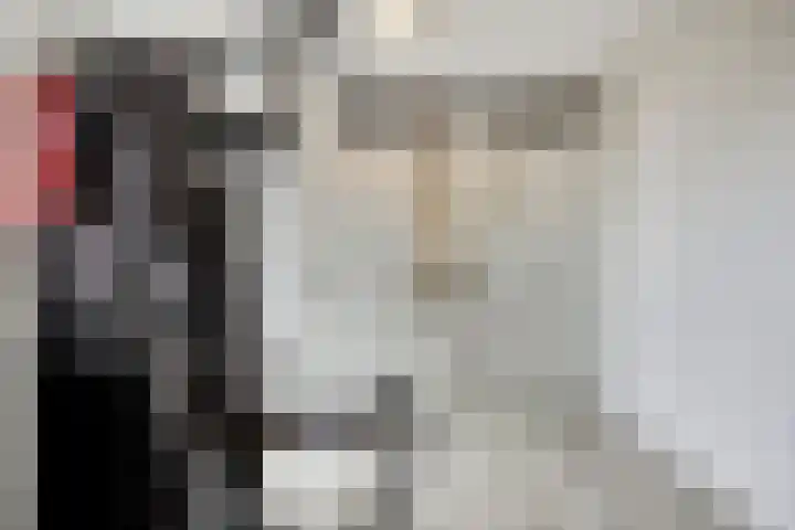 Domburgpad 46 Arnhem thumbnail 21