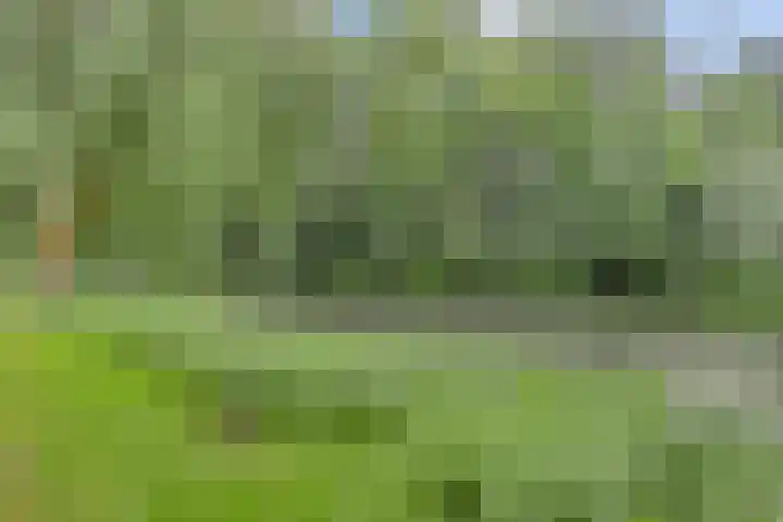 Domburgpad 46 Arnhem thumbnail 27