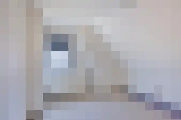 Domeinenstraat 15 Mill thumbnail 16