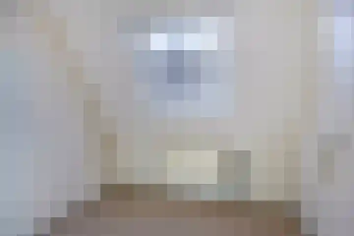 Domeinenstraat 15 Mill thumbnail 18