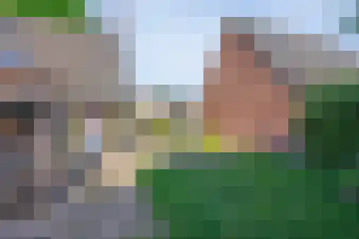 Domeinenstraat 15 Mill thumbnail 20