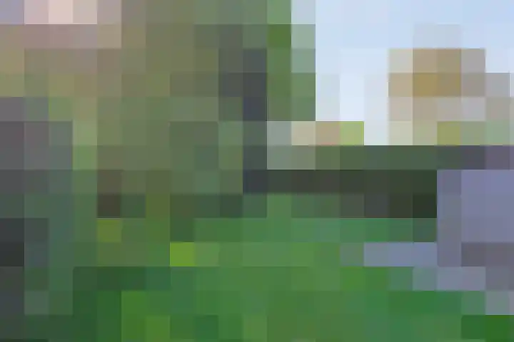 Domeinenstraat 15 Mill thumbnail 22