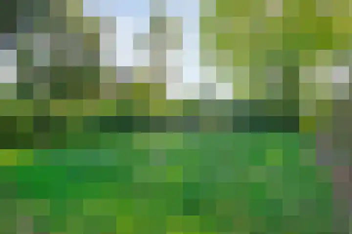 Domeinenstraat 15 Mill thumbnail 24