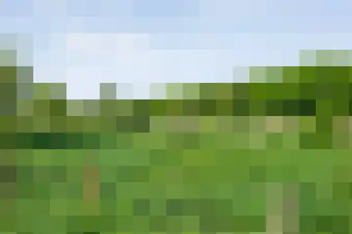 Domeinenstraat 15 Mill thumbnail 26