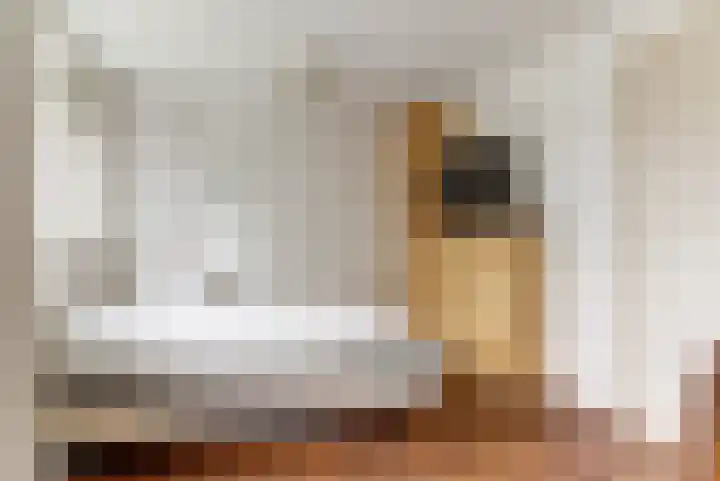 Domeinlaan 13 Dieren thumbnail 14