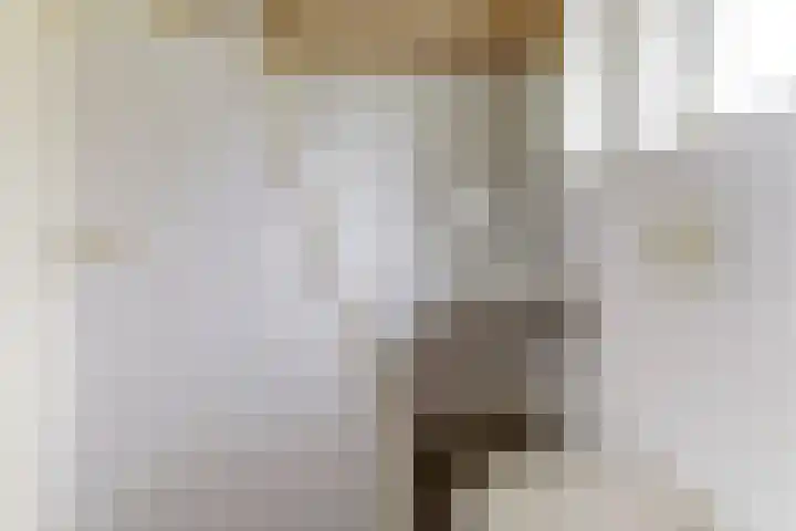 Domeinlaan 13 Dieren thumbnail 26