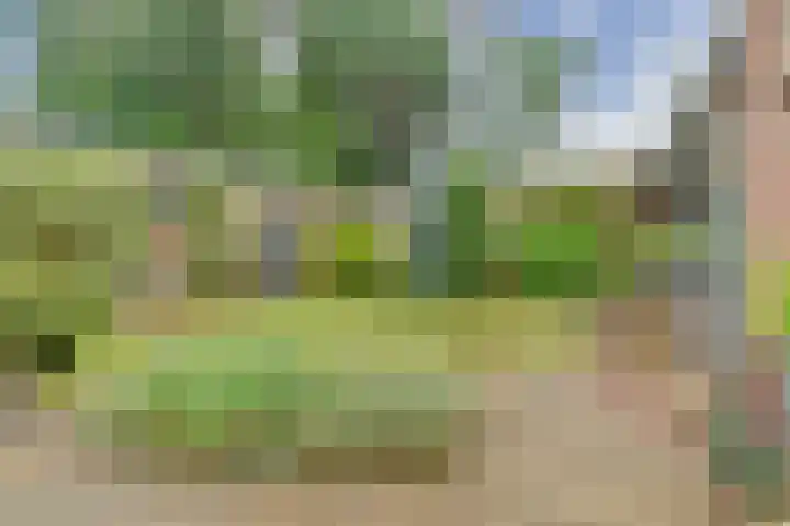 Domeinlaan 13 Dieren thumbnail 30
