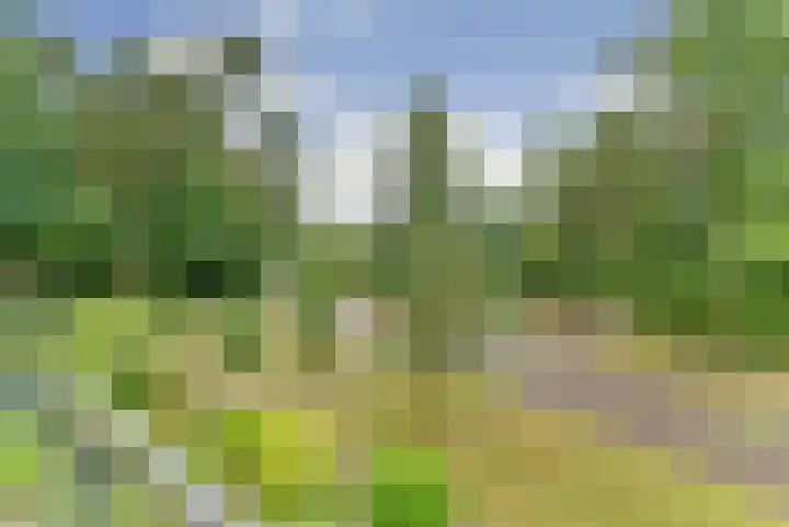 Domeinlaan 13 Dieren thumbnail 4