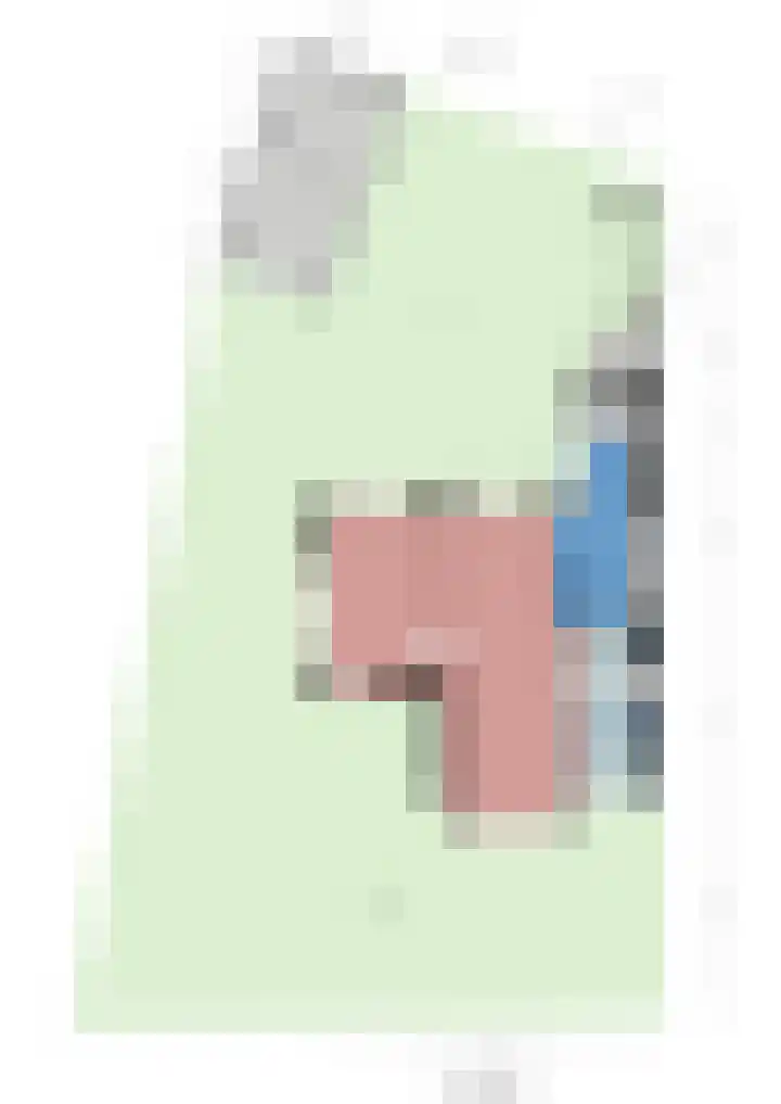 Domeinlaan 13 Dieren thumbnail 41