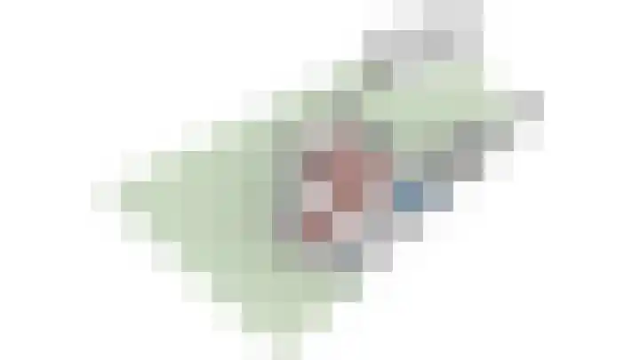 Domeinlaan 13 Dieren thumbnail 42