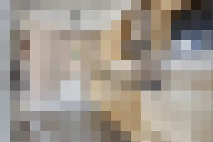 Logo Domicilie Makelaars Ede