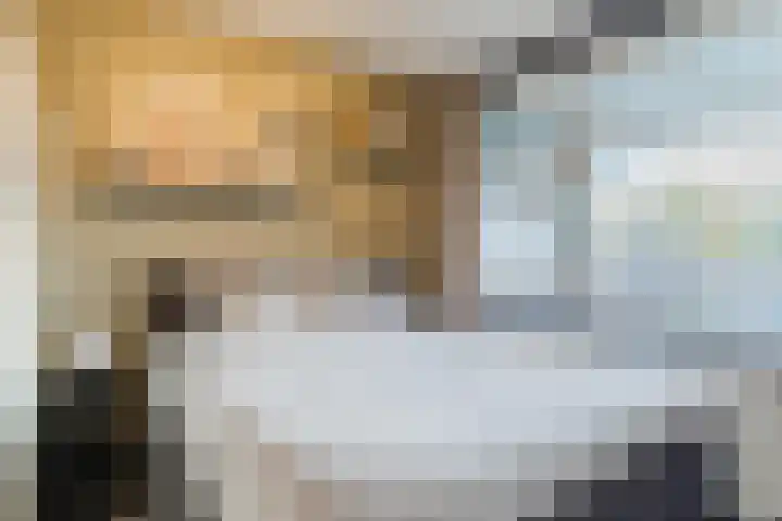 Dommel 14 Deurne thumbnail 32