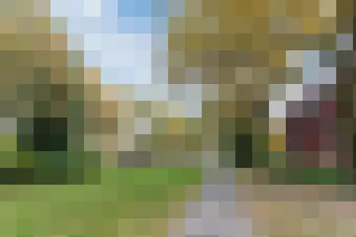 Dommel 14 Deurne thumbnail 51