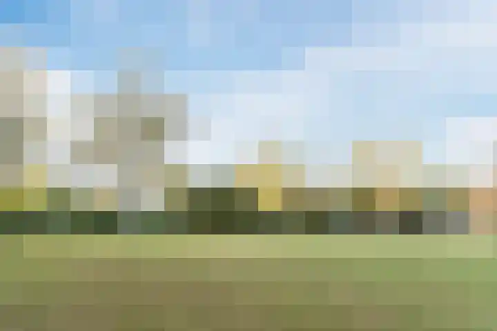 Dommel 14 Deurne thumbnail 53