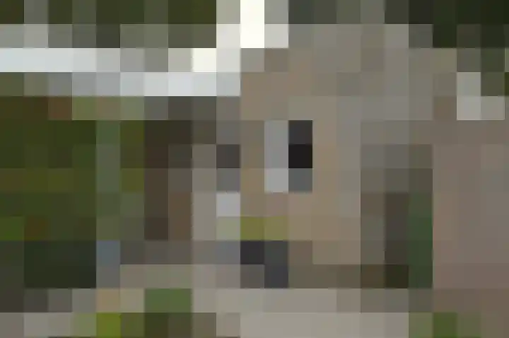 Dommel 7 Deurne thumbnail 28