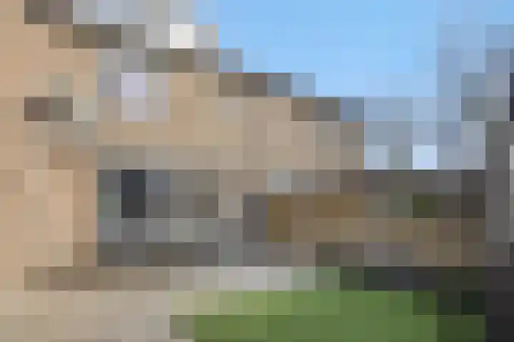 Dommelborch 108 Rosmalen thumbnail 19