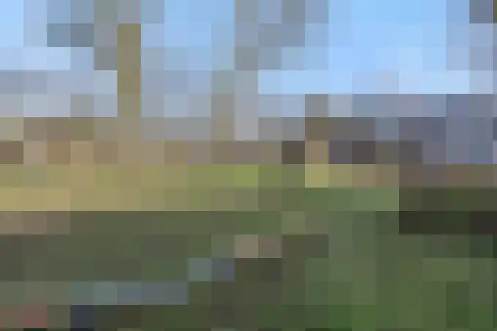 Dommelborch 108 Rosmalen thumbnail 22